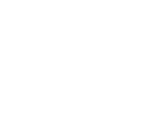Logo Gold Ochsen